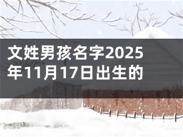 文姓男孩名字2025年11月17日出生的