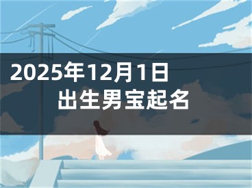 2025年12月1日出生男宝起名