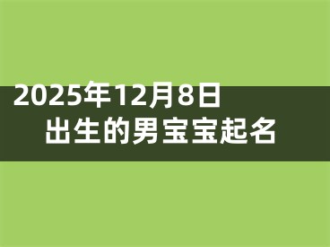 2025年12月8日出生的男宝宝起名