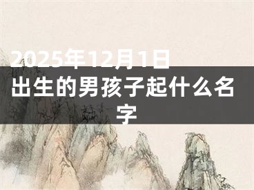 2025年12月1日出生的男孩子起什么名字