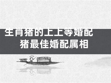 生肖猪的上上等婚配 猪最佳婚配属相