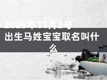 2025年11月2号出生马姓宝宝取名叫什么