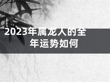 2023年属龙人的全年运势如何