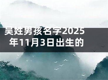 吴姓男孩名字2025年11月3日出生的