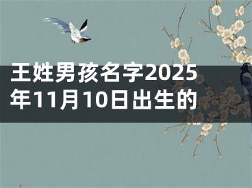 王姓男孩名字2025年11月10日出生的