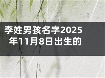 李姓男孩名字2025年11月8日出生的
