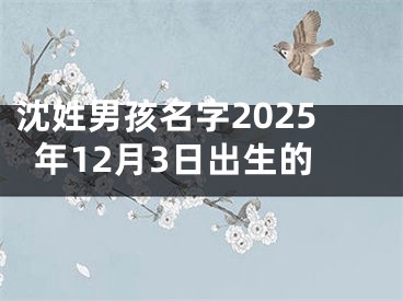 沈姓男孩名字2025年12月3日出生的