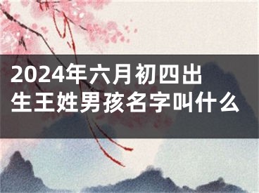 2024年六月初四出生王姓男孩名字叫什么