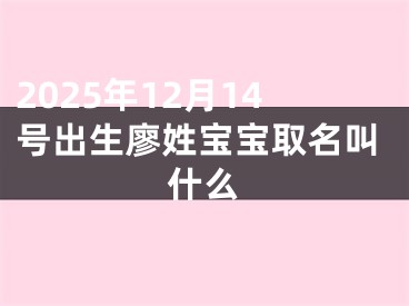2025年12月14号出生廖姓宝宝取名叫什么