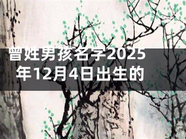 曾姓男孩名字2025年12月4日出生的