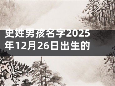 史姓男孩名字2025年12月26日出生的