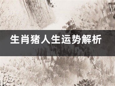 生肖猪人生运势解析