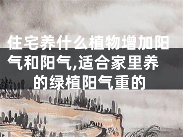 住宅养什么植物增加阳气和阳气,适合家里养的绿植阳气重的