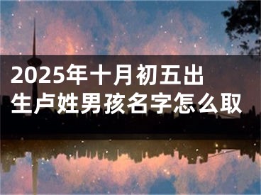 2025年十月初五出生卢姓男孩名字怎么取