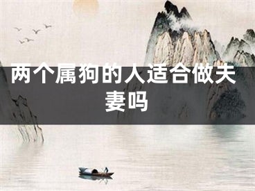 两个属狗的人适合做夫妻吗