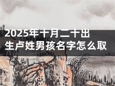 2025年十月二十出生卢姓男孩名字怎么取