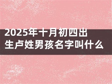 2025年十月初四出生卢姓男孩名字叫什么