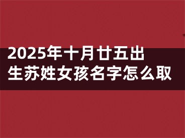 2025年十月廿五出生苏姓女孩名字怎么取