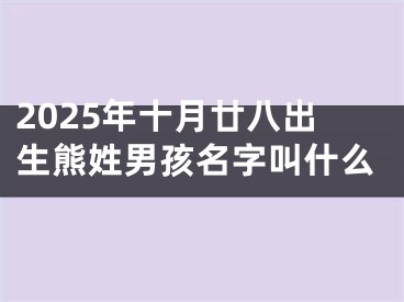 2025年十月廿八出生熊姓男孩名字叫什么