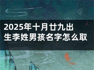 2025年十月廿九出生李姓男孩名字怎么取