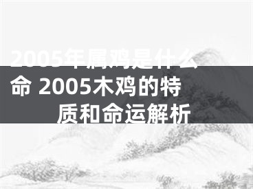 2005年属鸡是什么命 2005木鸡的特质和命运解析