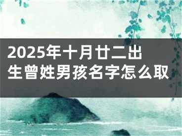 2025年十月廿二出生曾姓男孩名字怎么取