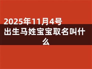 2025年11月4号出生马姓宝宝取名叫什么