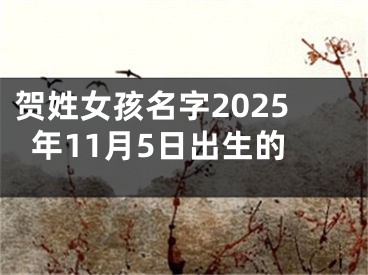 贺姓女孩名字2025年11月5日出生的