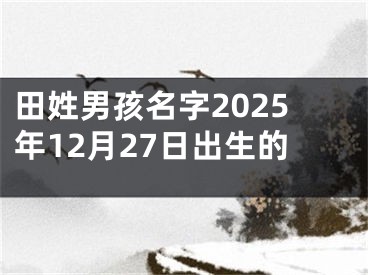 田姓男孩名字2025年12月27日出生的