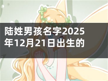 陆姓男孩名字2025年12月21日出生的