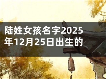 陆姓女孩名字2025年12月25日出生的