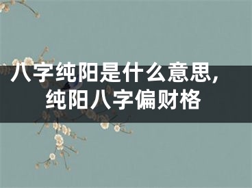 八字纯阳是什么意思,纯阳八字偏财格