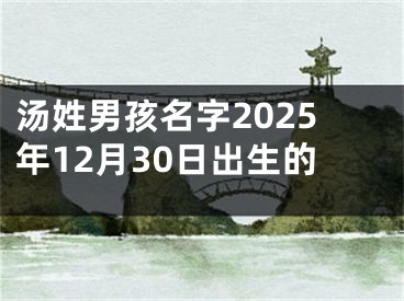 汤姓男孩名字2025年12月30日出生的