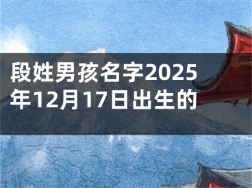 段姓男孩名字2025年12月17日出生的