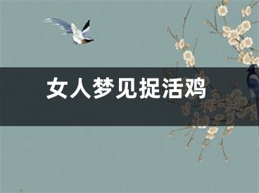 女人梦见捉活鸡