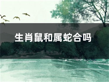 生肖鼠和属蛇合吗