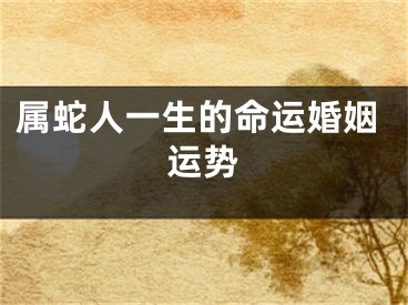 属蛇人一生的命运婚姻运势