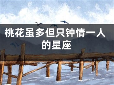 桃花虽多但只钟情一人的星座