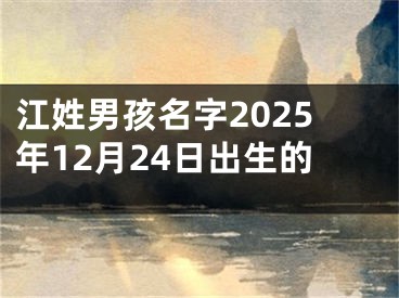 江姓男孩名字2025年12月24日出生的