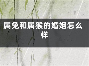 属兔和属猴的婚姻怎么样