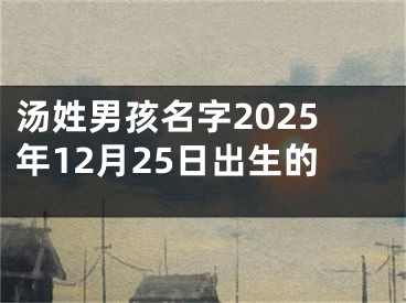 汤姓男孩名字2025年12月25日出生的