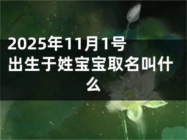 2025年11月1号出生于姓宝宝取名叫什么