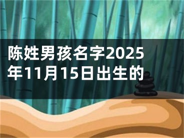 陈姓男孩名字2025年11月15日出生的