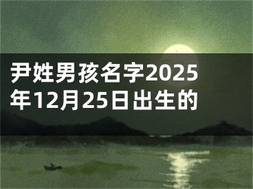 尹姓男孩名字2025年12月25日出生的