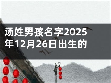 汤姓男孩名字2025年12月26日出生的