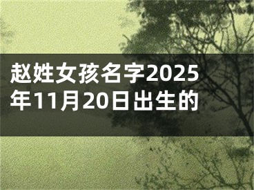 赵姓女孩名字2025年11月20日出生的