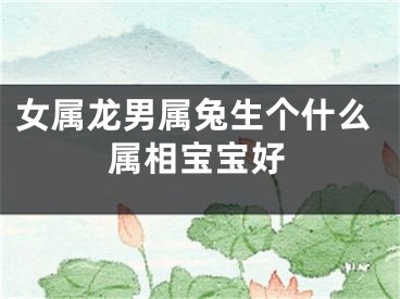 女属龙男属兔生个什么属相宝宝好