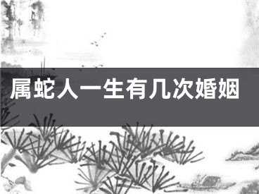 属蛇人一生有几次婚姻