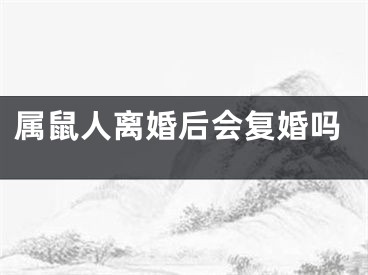 属鼠人离婚后会复婚吗