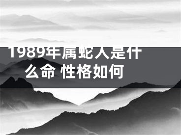1989年属蛇人是什么命 性格如何